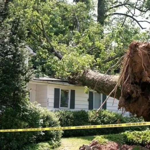 Storm Damage Repair Services in South Shore, MA